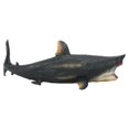 thumbnail image 3 of Herwey Modèle Éducatif de Simulation, Modèle Sharks, Garçons pour Enfants Éducatif Enfants, 3 of 8