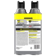 Raid Outdoor Wasp & Hornet Insecticide Value Pack, 14 oz., 2 Count