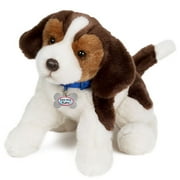 Cold Nose Puppies: Beagle