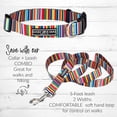 thumbnail image 2 of Set de collar y correa Lucky Love Dog Rainbow para perros medianos, 2 of 8