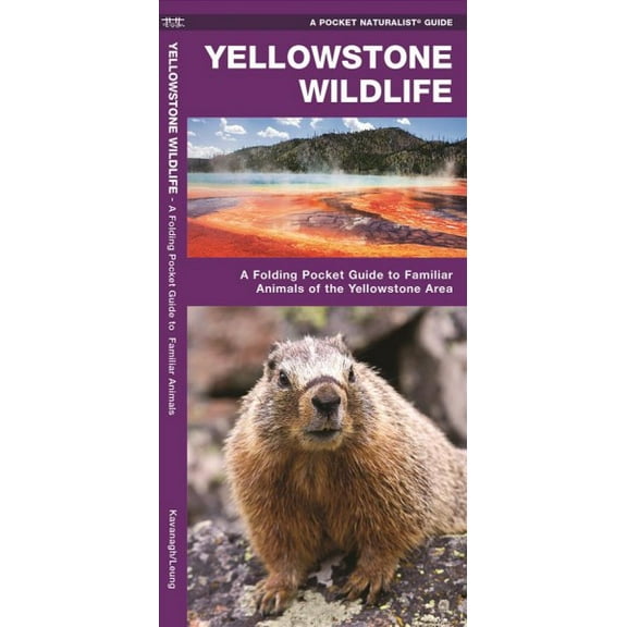Pocket naturalist guides: yellowstone wildlife: a folding pocket guide to familiar animals of the ye: 9781583553169