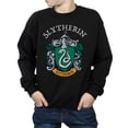 thumbnail image 3 of Harry Potter Boys Slytherin Crest Sweatshirt, 3 of 6