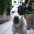 thumbnail image 4 of Pet Supplies Dog Training Leash With P Ring Control Reflective For Obedience Training And Outdoor Use, 4 of 5