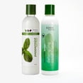 thumbnail image 3 of EDEN BodyWorks Peppermint Tea Tree Detangling Conditioner, 3 of 5