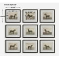 thumbnail image 3 of Uttermost Equine Dynasty Framed Prints in Multi-Color (Set of 9), 3 of 4