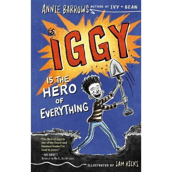 Pre-Owned Iggy Is the Hero of Everything 9781984813367
