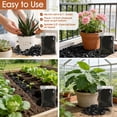 thumbnail image 7 of Bexikou 300G Horticultural Activated Charcoal for Plants, Enhances Drainage & Improves Soil, Perfect for Succulents, Orchids, Cacti, Indoor & Outdoor Gardening, 7 of 7