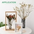 thumbnail image 5 of 1-Pack Dried Flower Frame, 6 x 6 Inch Double Acrylic Wooden Dried Flower Photo Floating Frame [Wood Color], 5 of 7