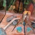 thumbnail image 4 of COMPUKAS 2Ud Adorno Para Terrarios Reptiles Con Falsas De Colores Variados, 4 of 6