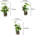 thumbnail image 5 of Set of 3 Artificial Plants, Faux Potted Plants Indoor, Small Fake House Plant in White Square Ceramic Pots for Shelf Decor, 5 of 8