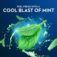 thumbnail image 4 of Oral-B Burst of Scope Dental Floss Picks, Fresh Mint, 75 ct, 4 of 11