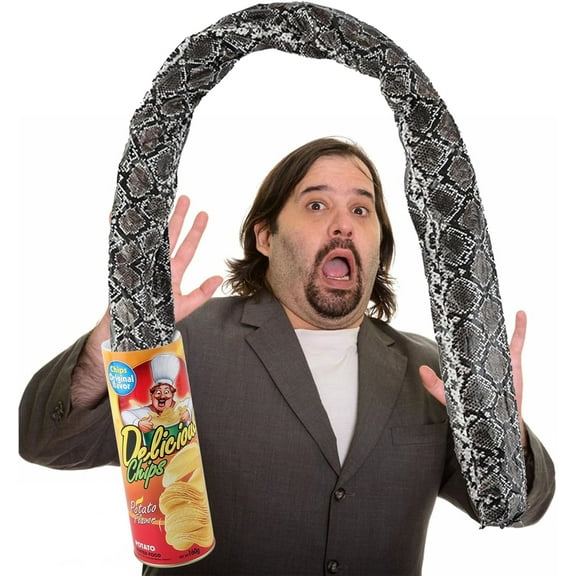 LQQBOX Prank Gifts, Funny Classic Snake in a Can Prank Magic Potato Chip Cans Fries Toys April Fools' Day Party Decoration