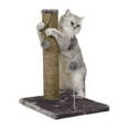 Cat Craft Sea Grass Scratcher with Toy