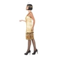thumbnail image 3 of Charleston Flapper Costume Dress Adult: Gold, 3 of 4