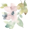 thumbnail image 3 of Goldberger, Jennifer 20x20 Black Modern Framed Museum Art Print Titled - Sweet Petals and Leaves IV, 3 of 5