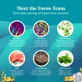 thumbnail image 6 of Natures Craft Focus Gummies Nootropics Brain Support Supplement for Kids, Tropical Fruits, 90 Count, 6 of 12