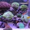 thumbnail image 1 of Fish Tank Landscape Sand, Aquarium Decoration Sand, Practical Miniatures Fish Tanks For Aquarium ANGGREK Otros, 1 of 8