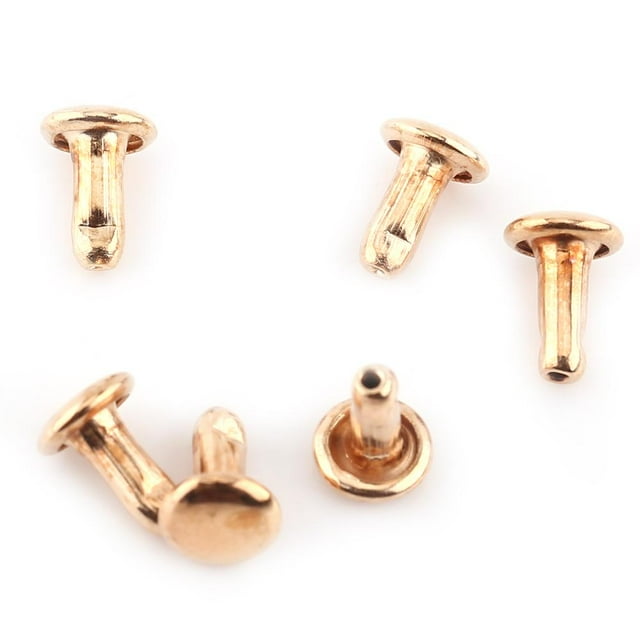 Herwey 100 Pcs Rivet Double Capuchon Tubulaire Métal Cuir Réparation Clous Décoration, Rivet Rapide, Rivet Métal