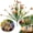 C, variant on KUMHONW 1 Bundle Artificial Flowers Outdoors,Fake Flowers Faux Plastic Plants Spring Summer Decoration for Home Garden Porch,Simulation Forget Me Not Simulation Flower Sunset Red