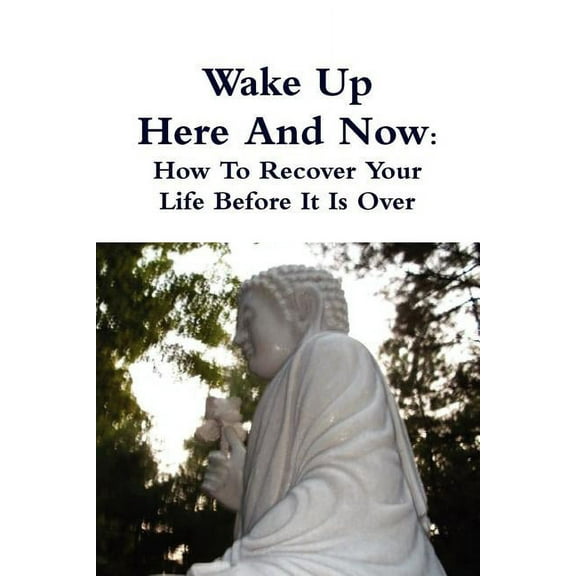 Wake Up Here And Now: How To Recover Your Life Before It Is Over, (Paperback)