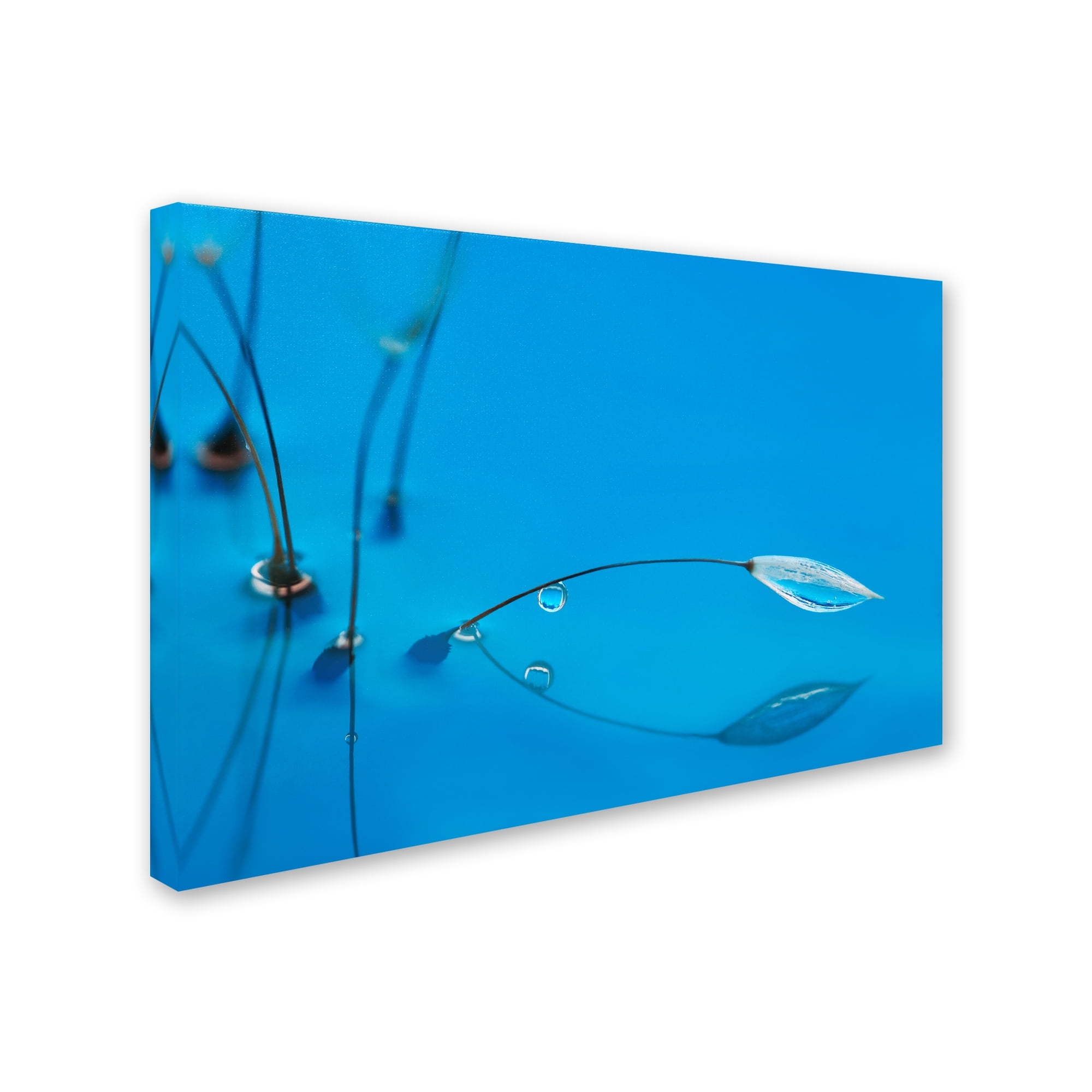 Trademark Fine Art 'Blue Water' Canvas Art by Heidi Westum