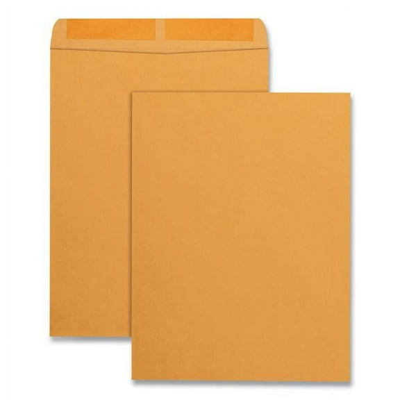Quality Park Catalog Envelope, #13 1/2, Square Flap, Gummed Closure, 10 x 13, Brown Kraft, 100/Box