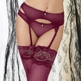 thumbnail image 2 of Women's Lace Embroidery See Through Panties Garter Belt With Stockings, 2 of 5