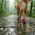 thumbnail image 6 of Dog Shoes Dip Coating Waterproof Durable Shoe Covers and Socks for Pet Comfort in Outdoor Scenarios, Red Size S, 6 of 6
