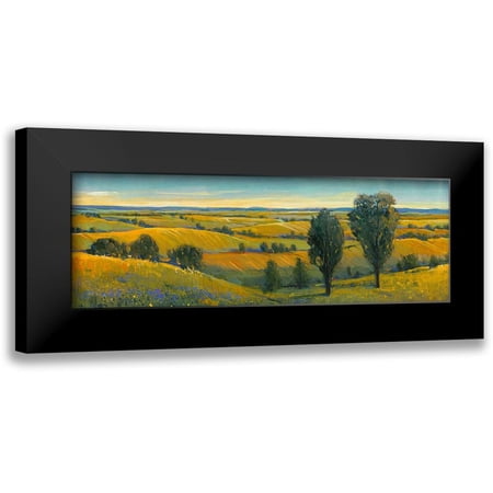 OToole, Tim 14x7 Black Modern Framed Museum Art Print Titled - Picturesque Scene II