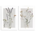 thumbnail image 5 of Stupell Industries Delicate Wildflower Herb Sprigs Lavender Nature Botanicals Graphic Art Unframed Art Print Wall Art, Set of 2, Design by Carol Robinson, 5 of 5