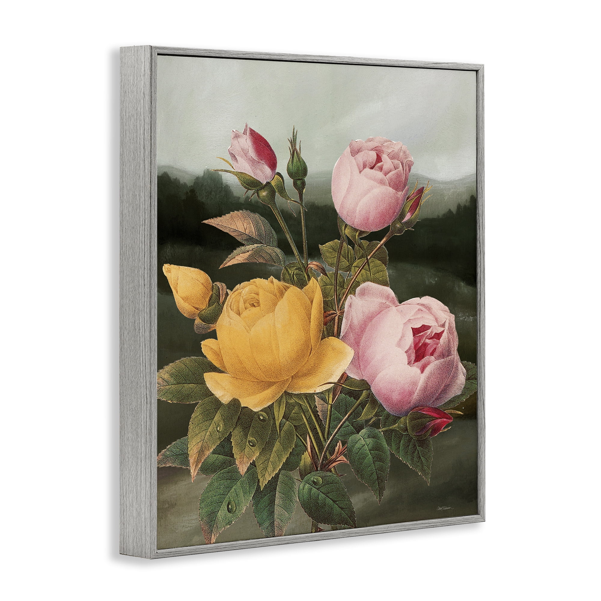 Stupell Industries Vintage Peony Blooms Botanical & Floral Painting Gray Framed Art Print Wall Art, 11 x 14