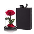 thumbnail image 1 of Roses Rouges Fleur Préservée Vraie Rose sous Cloche en Verre, Roses Préservées Jamais Flétries Cadeaux Romantiques pour Elle, Saint-Valentin, Fête des Mères, Anniversaire, Fête d'Anniversaire, Mariage et Noël Grande, 1 of 5