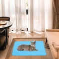 thumbnail image 5 of FESTFENDS Colchoneta Refrigerante Para Mascotas De De Azul Para Uso Interior Y Exterior, 5 of 5
