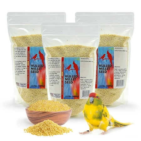 Morning Bird Hulled Millet 4.5 lbs (3-Pack, 1.5 lbs Each) – Nutritious Seed, Easily Digestible with High Fiber, Rich in Vitamins and Supplements for Birds, Ideal Bird Feed for All Bird Types,