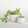 thumbnail image 1 of White & Gray Patterned Planters - Set of 2, 1 of 1
