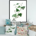 thumbnail image 2 of Designart 'Ancient Green Leaves Plants IX' Traditional Framed Canvas Wall Art Print, 2 of 5