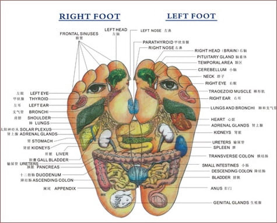 Deluxe Comfort Womens Slip-On Acupressure Reflexology Sandals, Size 8-9 – 81 Acu-Pressure Grip Massagers – Orthopedic Foot Therapy – Holistic Far East Concept – Foot Massager Sandals, Black