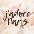 thumbnail image 3 of Allen, Kimberly 20x20 Black Modern Framed Museum Art Print Titled - Paris Fall Blooms 2, 3 of 5