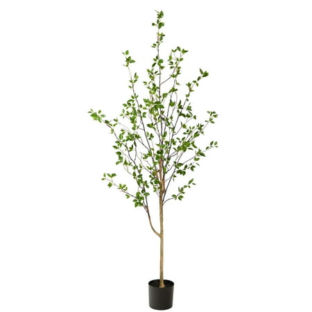 https://i5.walmartimages.com/asr/f0015037-1b8e-4eee-972b-27b4b98c9481.be99675f079a8e77bb988fbaa5500cbe.jpeg?odnHeight=450&odnWidth=450&odnBg=ffffff