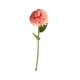 thumbnail image 4 of Bearachild 10 Uds. Flor de simulación redonda de seda color Rosa intenso, 4 of 6