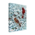 thumbnail image 2 of Trademark Fine Art 'Winter Cardinal Painting' Canvas Art by Jeff Tift, 2 of 3