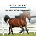 thumbnail image 4 of Start to Finish Cool Omega 40 Equine Dry Fat and Protein Supplement, Pelleted, 20 lbs, 4 of 6