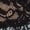 Black Ditsy Drama Print, variant on Women's Underwear Brief, High-Rise Lace Panties Black 2XL