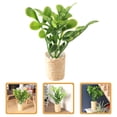 thumbnail image 2 of Miangastore Doll House Plant Miniature Bonsai Decoration Mini Potted Plant Model Mini Greenery Ornament, 2 of 8