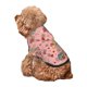thumbnail image 5 of Balery Retro 70s 60s Hippie Flower Sudadera con Capucha para Perros Pequeños – Ropa para Mascotas, Disfraz para Perros y Gatos, Ideal para Fiestas y Cosplay-X-Large, 5 of 7