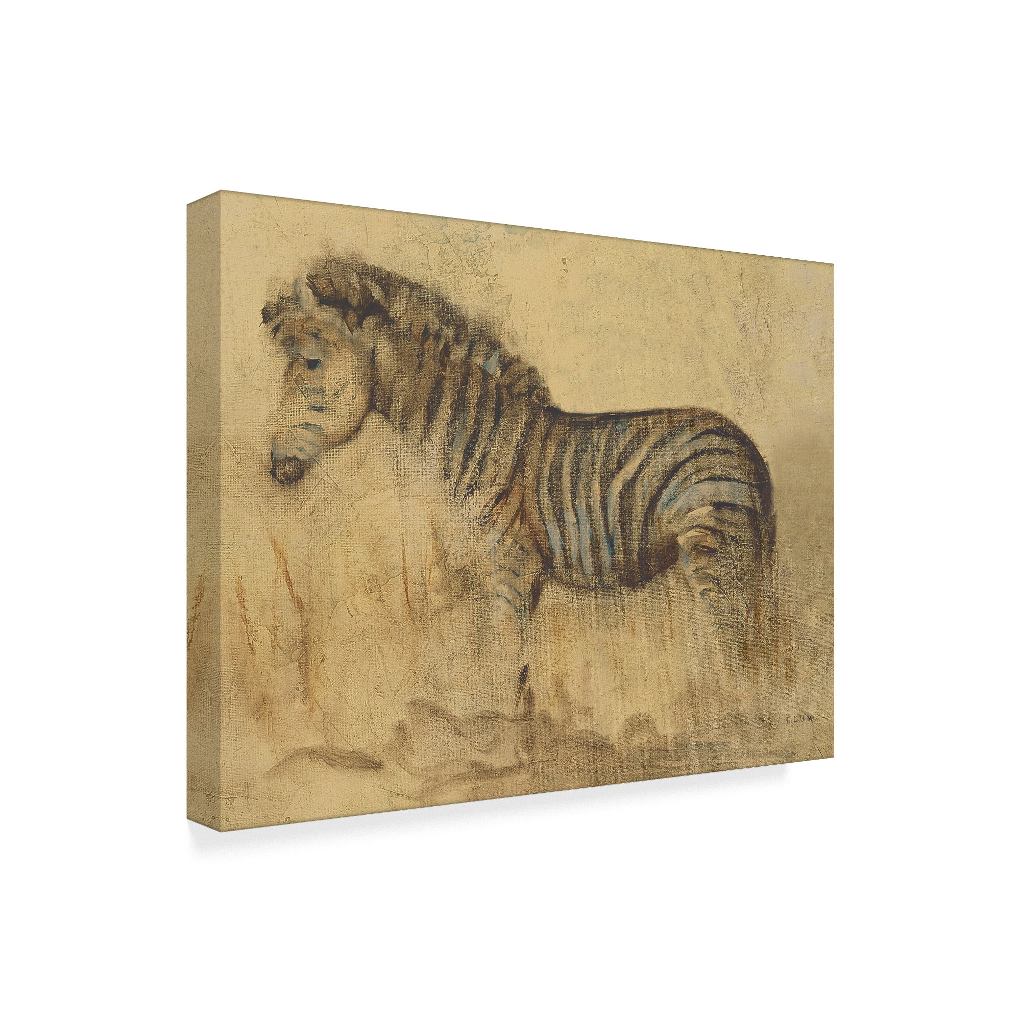 Trademark Fine Art 'Global Zebra Light Crop' Canvas Art by Cheri Blum