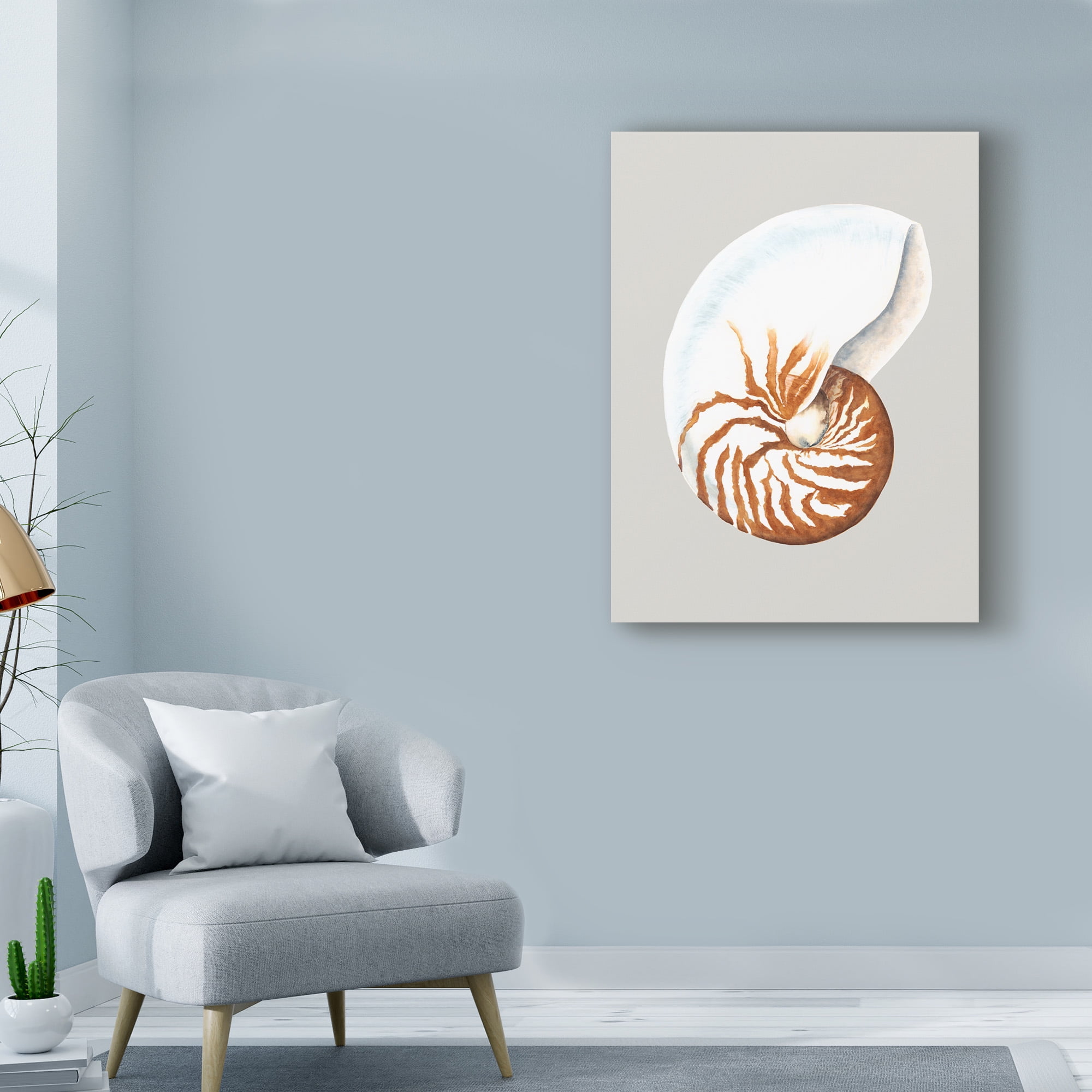 Trademark Fine Art 'Nautilus' Canvas Art by Michael Willett