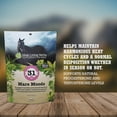 thumbnail image 4 of Silver Lining Herbs Mare Moods, 1 lb, 4 of 5