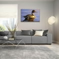 thumbnail image 5 of Epic Art 'Lone Pintail' by Mark Mueller Wildlife Art, Acrylic Glass Wall Art, 36"x24", 5 of 8