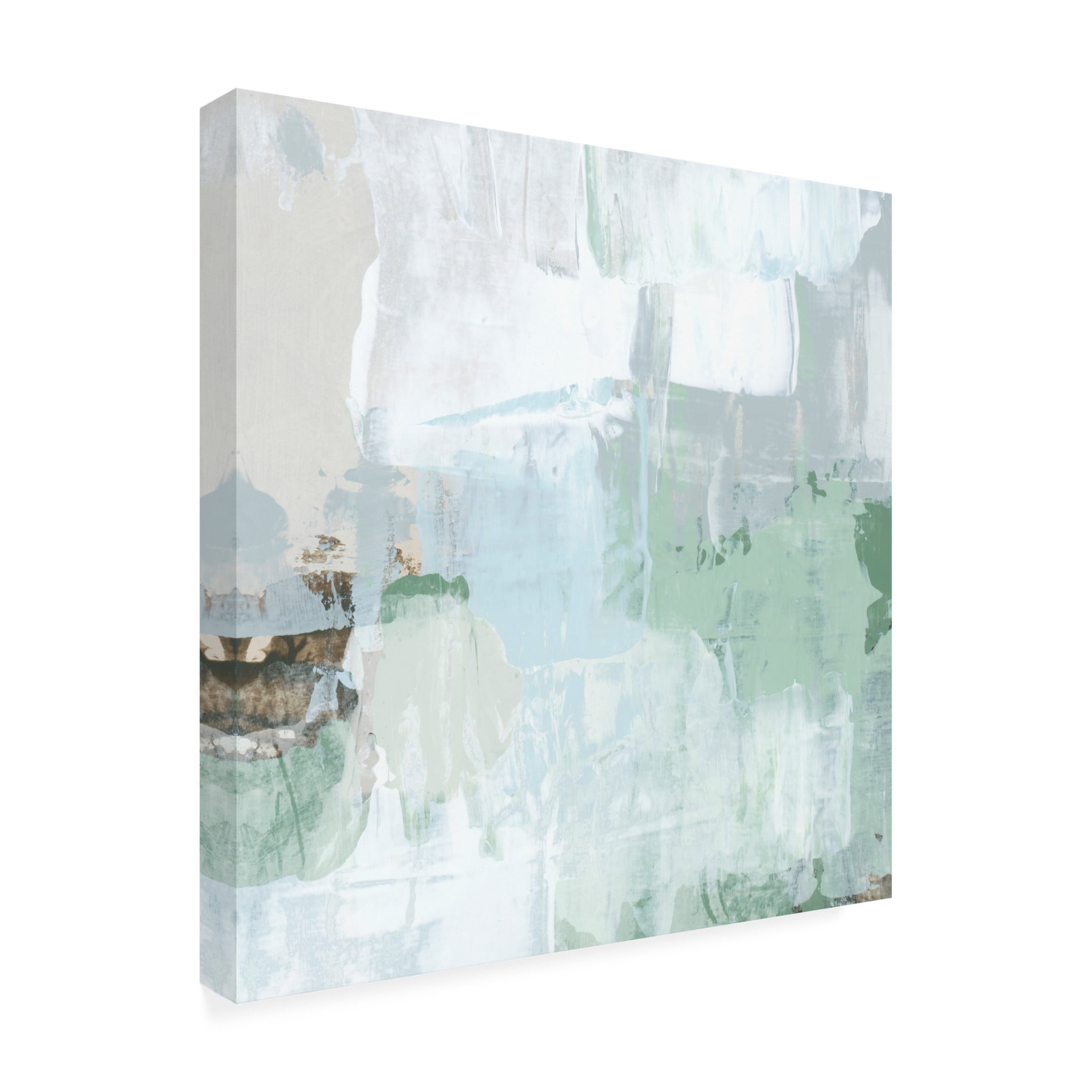 Trademark Fine Art June Erica Vess Field Lens II Canvas Wall Art